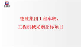 德勝集團(tuán)工程車(chē)輛、工程機(jī)械采購(gòu)招標(biāo)項(xiàng)目