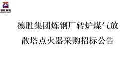 德勝集團(tuán)煉鋼廠轉(zhuǎn)爐煤氣放散塔點火器招標(biāo)項目